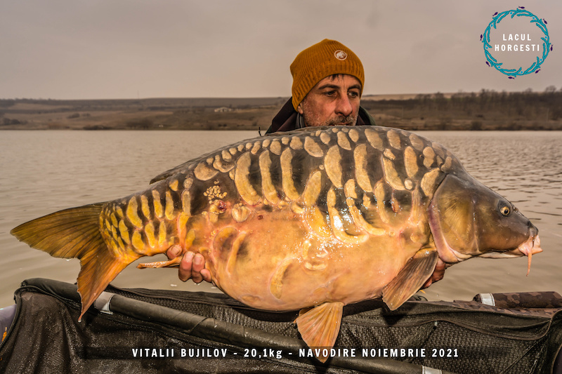19. Vitalii Bujilov - 20,1kg.jpg