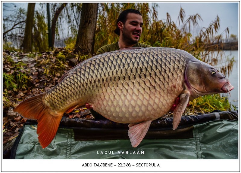 Abdo Taljbene - 22,3kg, Sectorul A.jpg