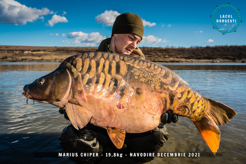 Marius Chiper - 19,8kg.jpg