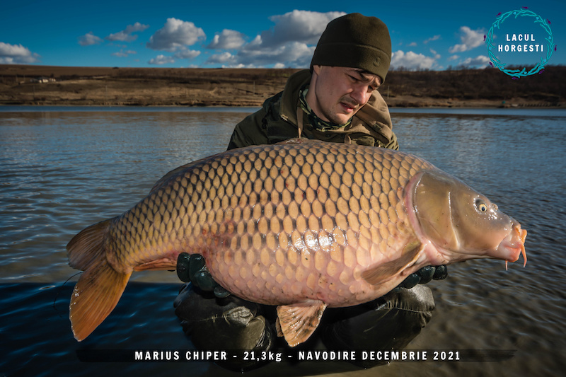 Marius Chiper - 21,3kg.jpg