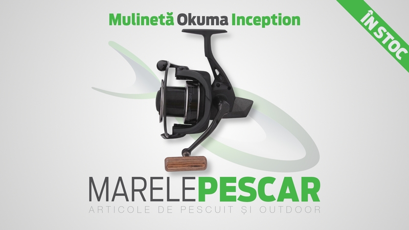 Mulineta-Okuma-Inception-acum-in-stoc.jpg