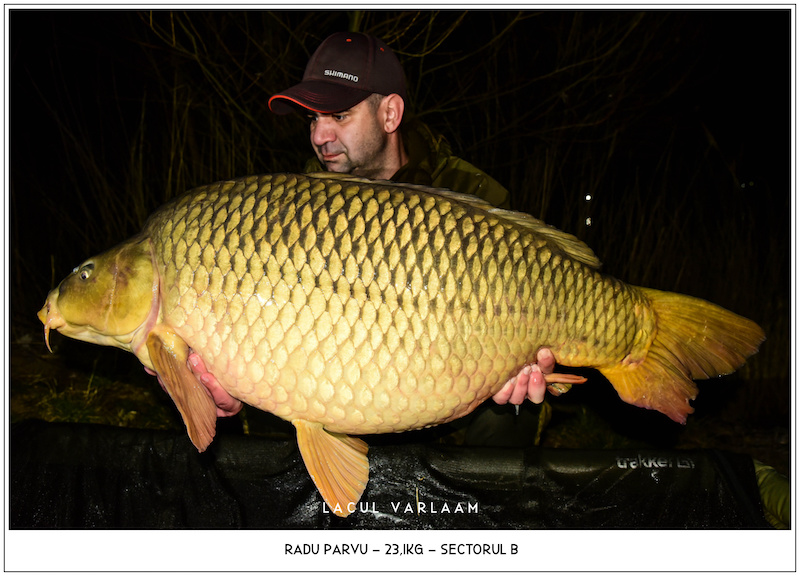 Radu Parvu - 23,1kg, Sectorul B.jpg