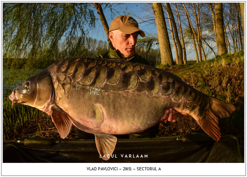 Vlad Pavlovici - 21kg, Sectorul A.jpg