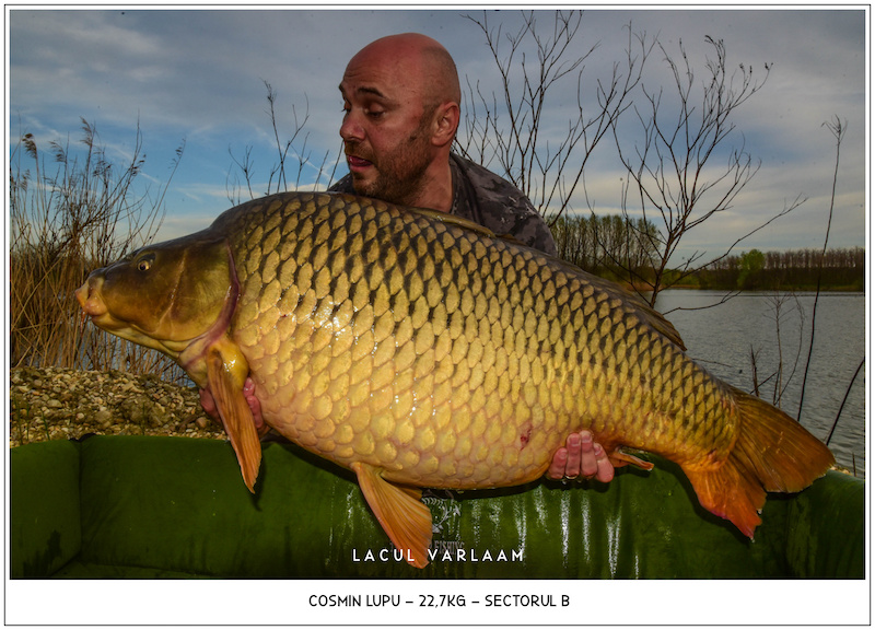 Cosmin Lupu- 22,7kg, Sectorul B.jpg