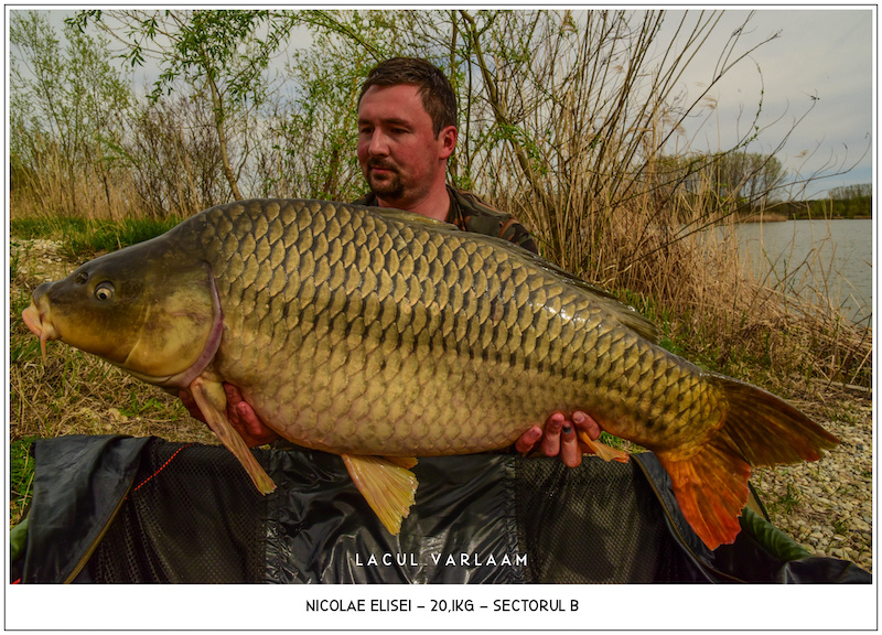 Nicolae Elisei - 20,1kg, Sectorul B.jpg