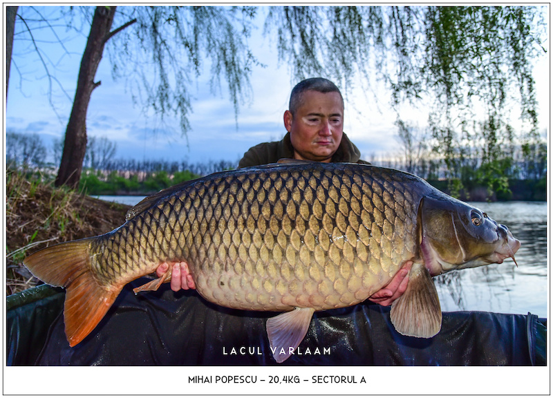 Mihai Popescu - 20,4kg, Sectorul A.jpg