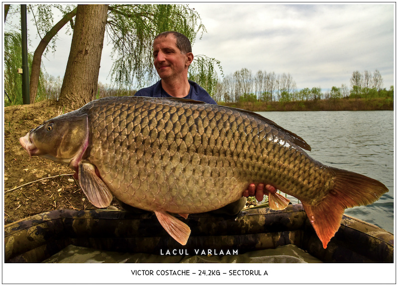 Victor Costache - 24,2kg, Sectorul A.jpg