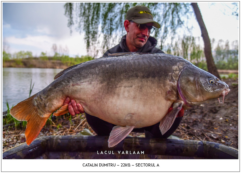 Catalin Dumitru - 22kg, Sectorul A.jpg