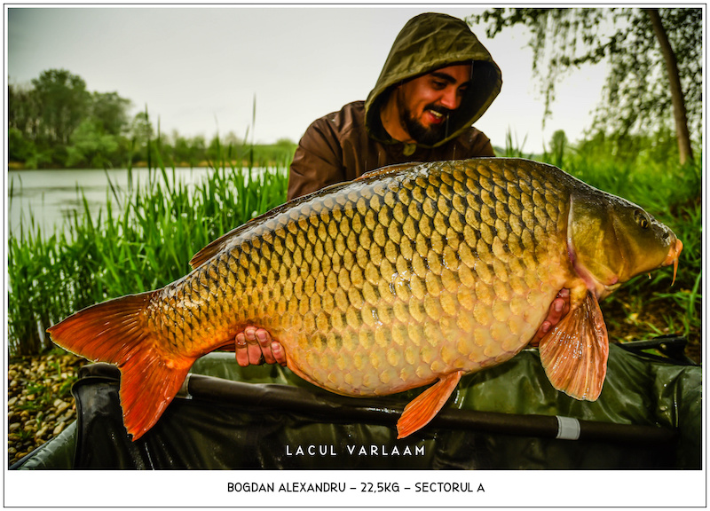 Bogdan Alexandru - 22,5kg, Sectorul A.jpg