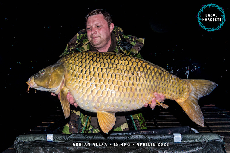Adrian Alexa - 18,4kg.jpg
