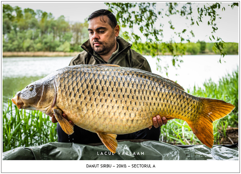 Danut Sirbu - 20kg, Sectorul A.jpg