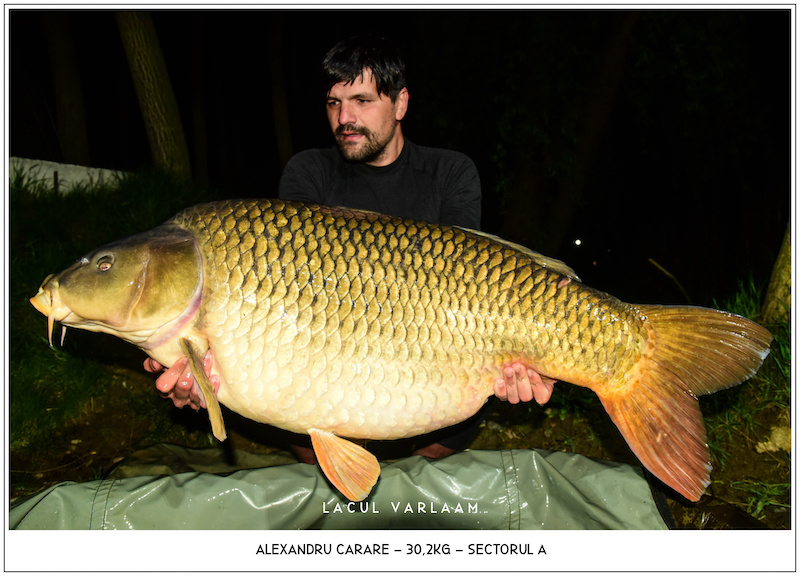 Alexandru Carare - 30,2kg, Sectorul A.jpg