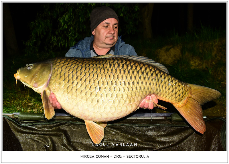 Mircea Coman - 21kg, Sectorul A.jpg