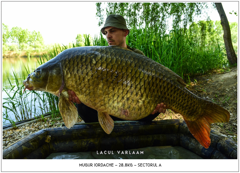 Mugur Iordache - 28,8kg, Sectorul A.jpg