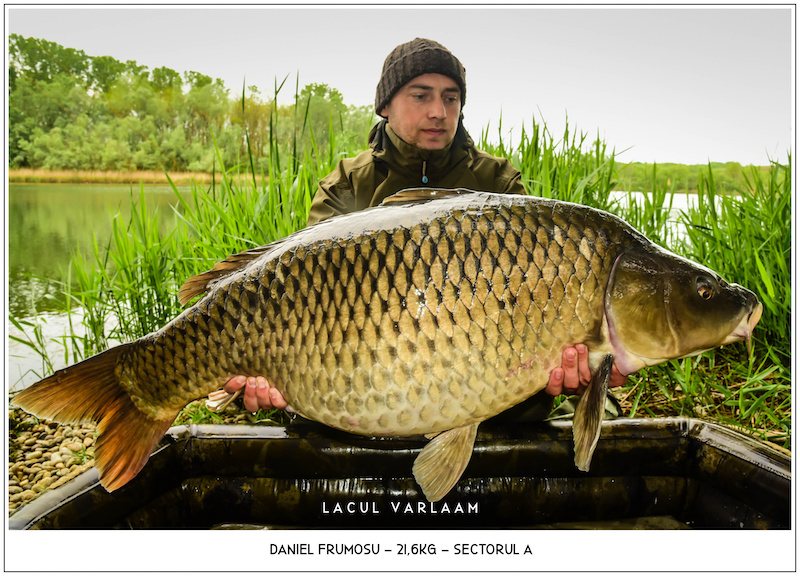 Daniel Frumosu - 21,6kg, Sectorul A.jpg