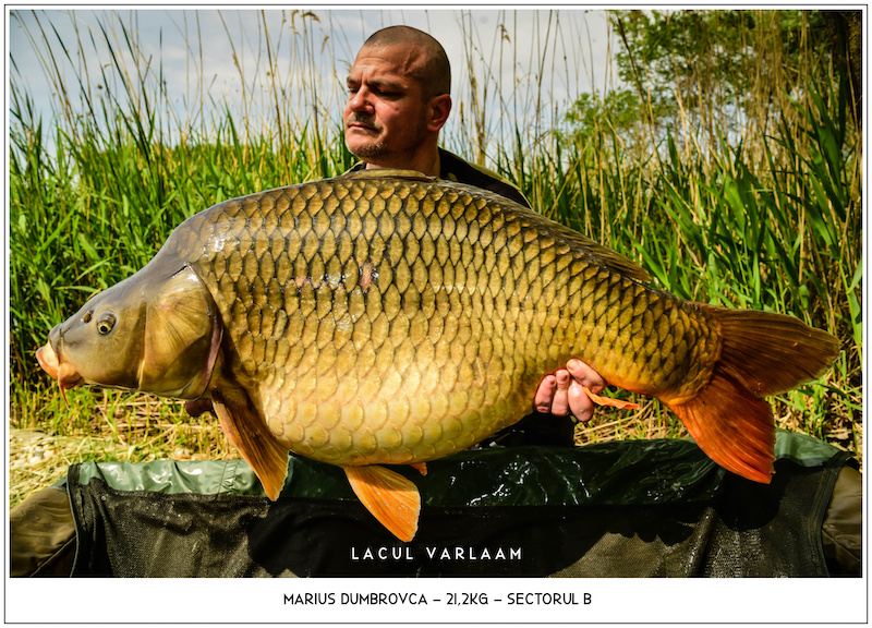 Marius Dumbrovca - 21,2kg,Sectorul B.jpg