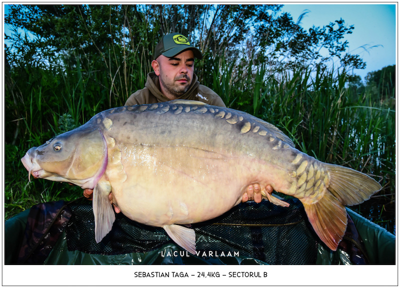 Sebastian Taga - 24,4kg, Sectorul B.jpg