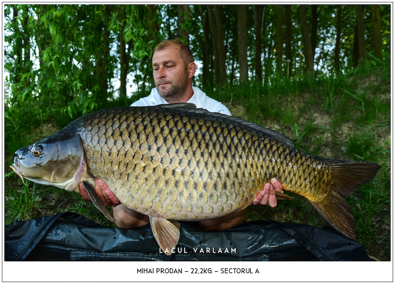 Mihai Prodan - 22,2kg, Sectorul A.jpg