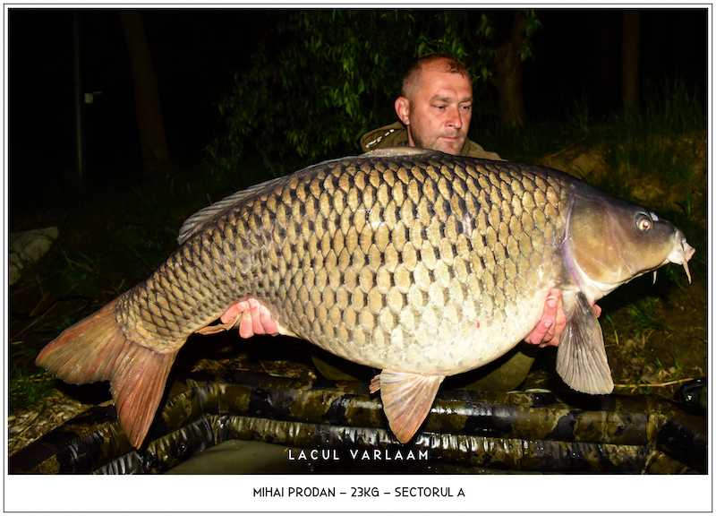 Mihai Prodan - 23kg, Sectorul A.jpg