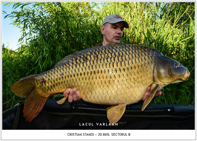 Cristian Stanoi - 20,6kg, Sectorul B.jpg