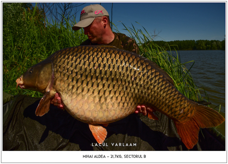 Mihai Aldea - 21,7kg, Sectorul B #1.jpg