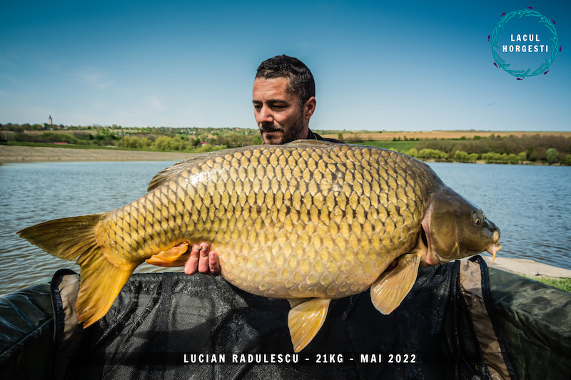 Lucian Radulescu - 21kg.jpg