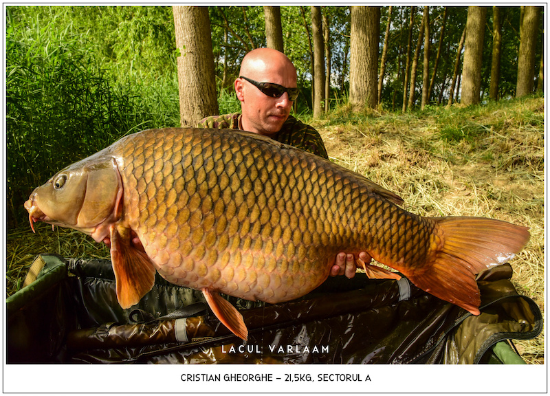 Cristian Gheorghe - 21,5kg, Sectorul A.jpg