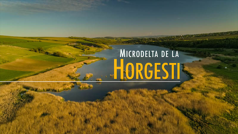 Microdelta de la Horgesti.jpg