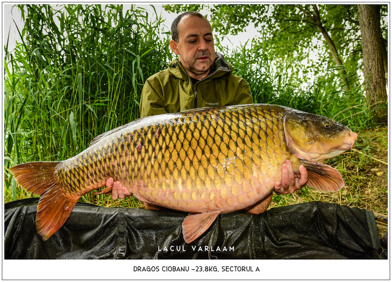 Dragos Ciobanu -23,8kg, Sectorul A.jpg