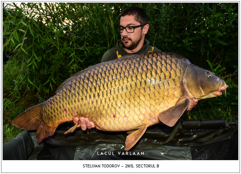 Steliyan Todorov - 21kg, Sectorul B.jpg