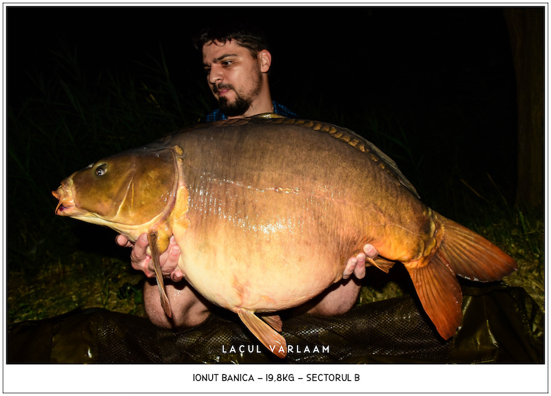 Ionut Banica - 19,8kg, Sectorul B.jpg