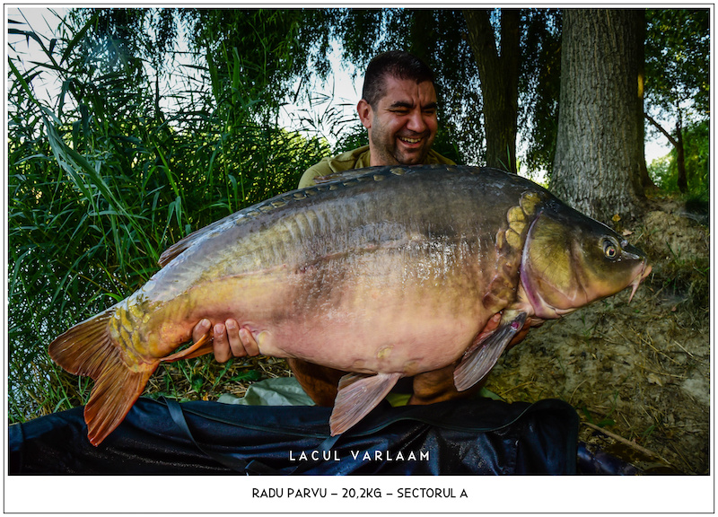 Radu Parvu - 20,2kg, Sectorul A.jpg