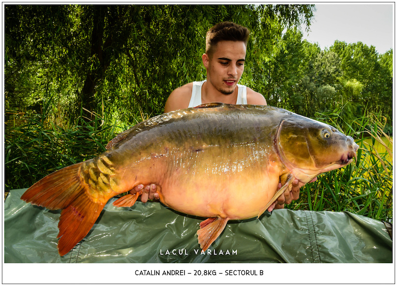 Catalin Andrei - 20,8kg, Sectorul B.jpg