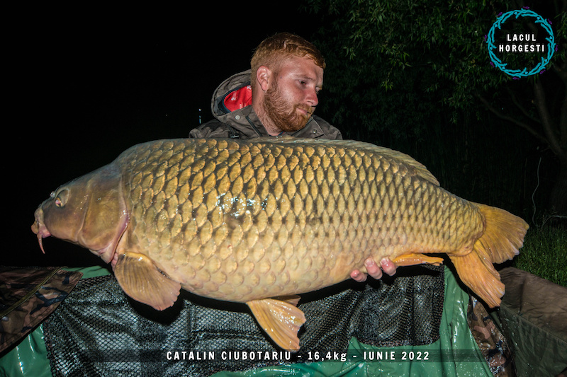 Catalin Ciubotariu - 16,4kg.jpg