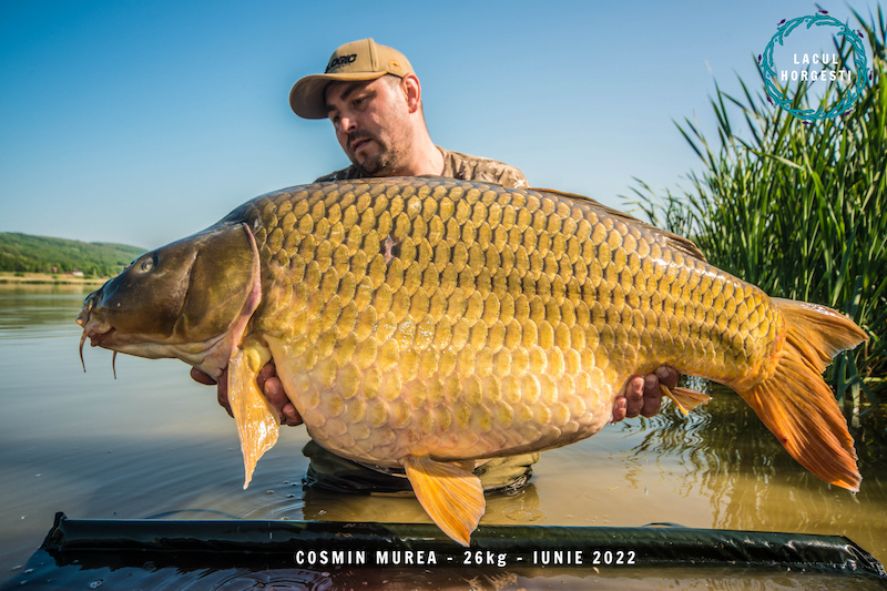 Cosmin Murea - 26kg.jpg