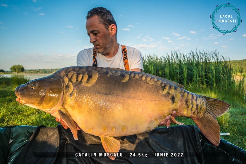 Catalin Muscalu - 24,5kg.jpg