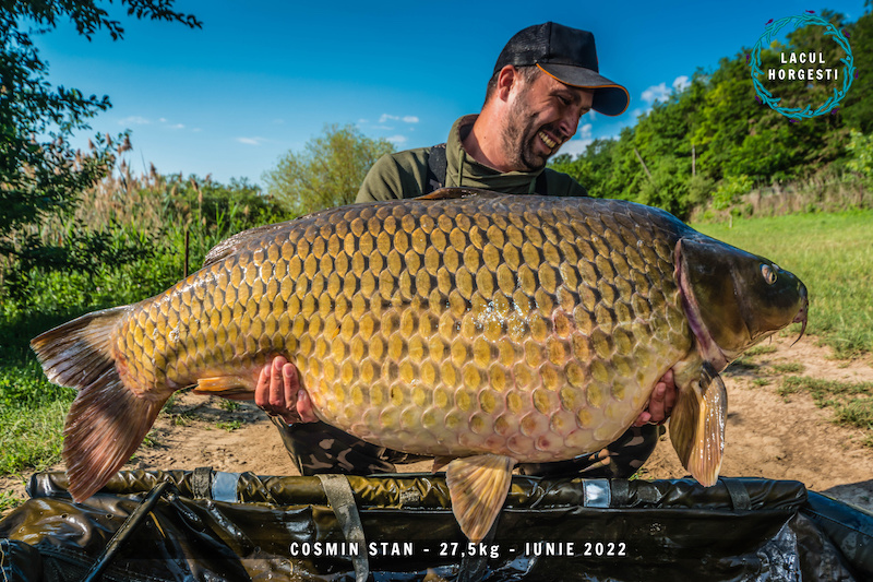 Cosmin Stan  - 27,5kg.jpg