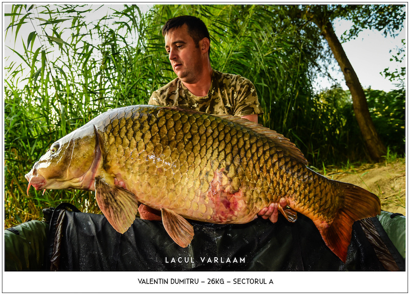 Valentin Dumitru - 26kg, Sectorul A.jpg