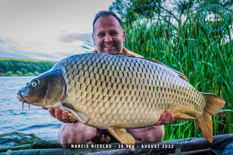 Narcis Nicolau - 18,9kg.jpg