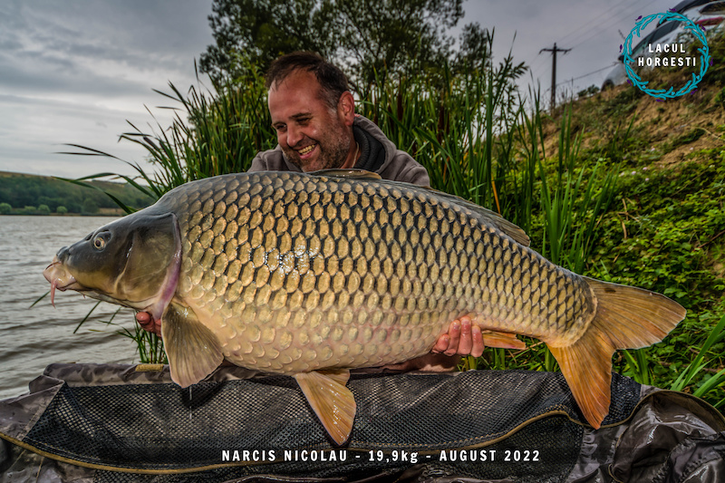 Narcis Nicolau - 19,9kg.jpg