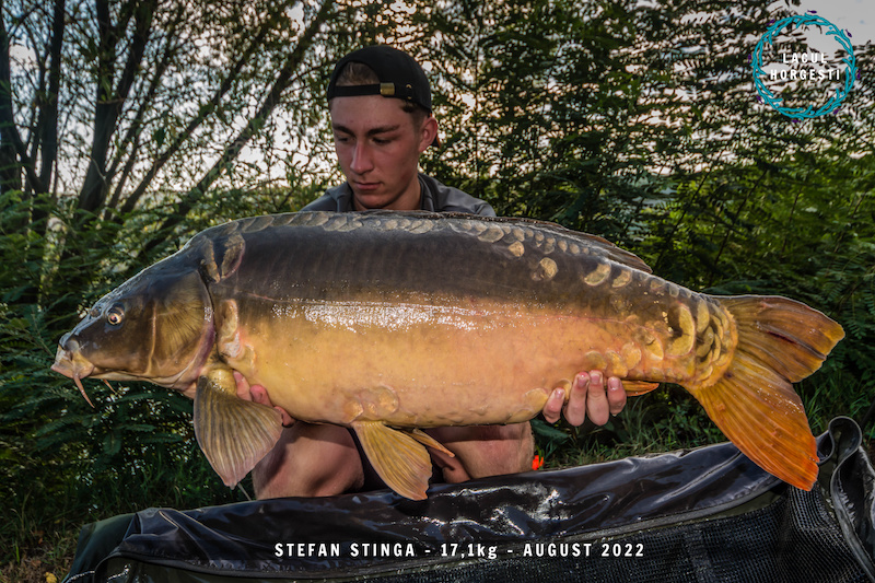 Stefan Stinga - 17,1kg.jpg
