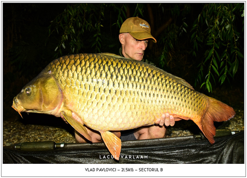 Vlad Pavlovici - 21,5kg, Sectorul B.jpg