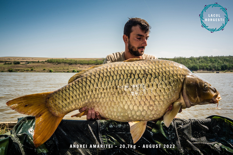 Andrei Amaritei - 20,7kg.jpg