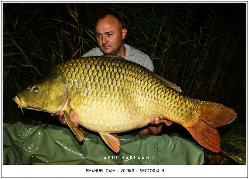 Emanuel Caim - 20,3kg, Sectorul B.jpg