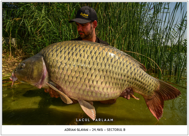 Adrian Glavan - 24,4kg, Sectorul B.jpg