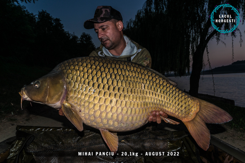 Mihai Panciu - 20,1kg.jpg