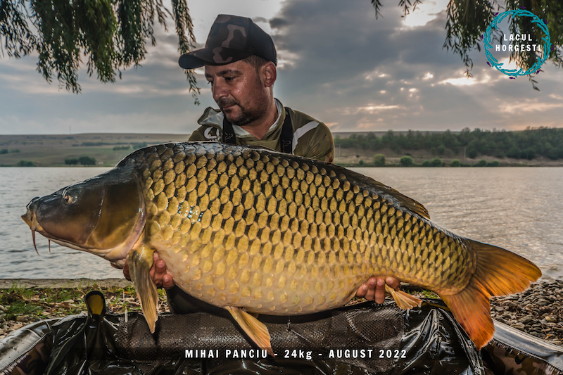 Mihai Panciu - 24kg.jpg