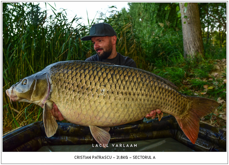 Cristian Patrascu - 21,8kg, Sectorul A.jpg