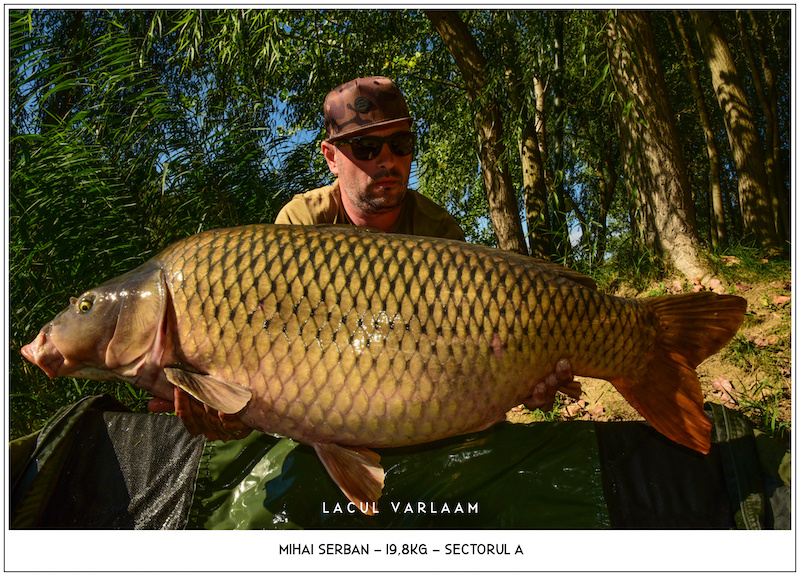 Mihai Serban - 19,8kg, Sectorul A.jpg