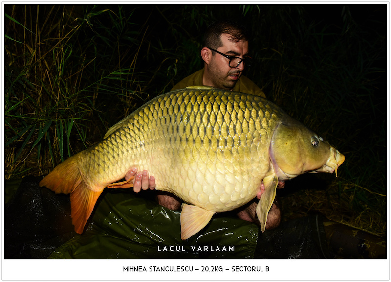 Mihnea Stanculescu - 20,2kg, Sectorul B.jpg